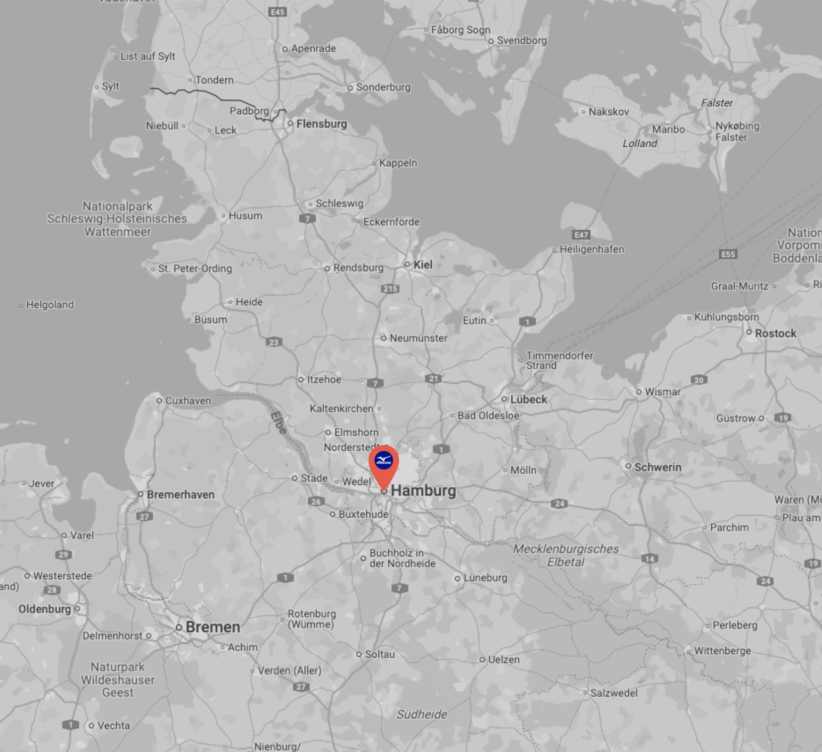 Section Image